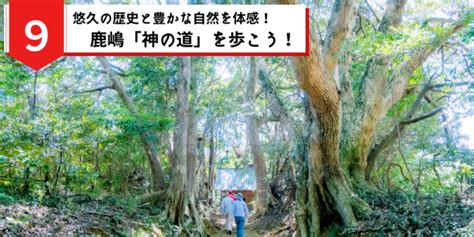 悠久の歴史と豊かな自然を体感！「鹿嶋 神の道」を歩こう！